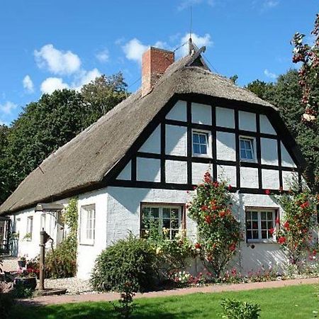Apartmán Ruegen_Fewo 266 Gurtitz Exteriér fotografie