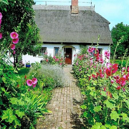 Apartmán Ruegen_Fewo 266 Gurtitz Exteriér fotografie