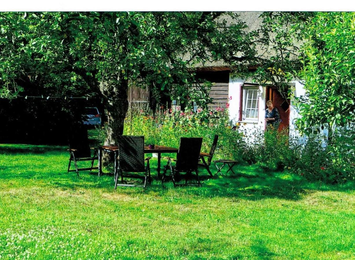 Apartmán Ruegen_Fewo 266 Gurtitz Exteriér fotografie